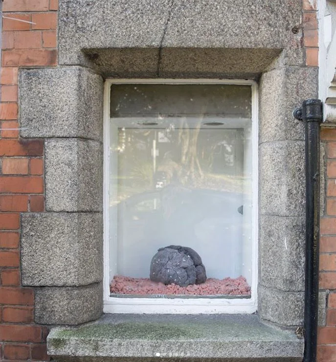 Woodlane Windows Series: Corey Mahoney and Eileen Walden