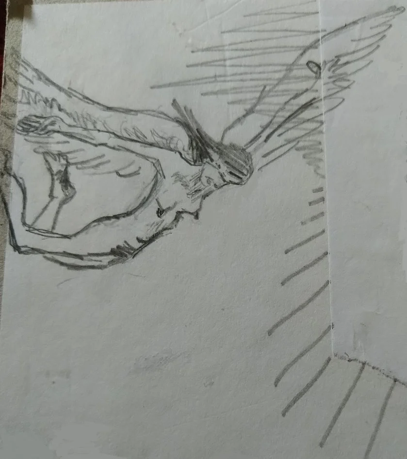 Two Poems by Morag Smith