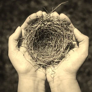 Nest: Letter Seven