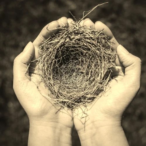 Nest: Letter Twelve