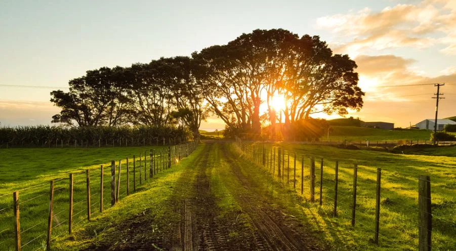 Screen Adaptations: Pride &amp; Prejudice