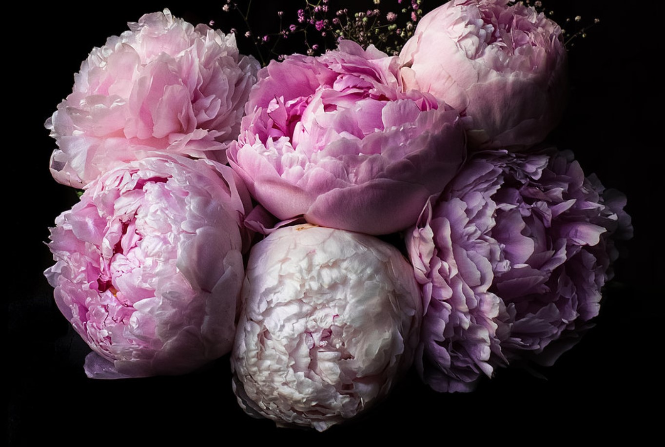Two poems by Adriana Ciontea