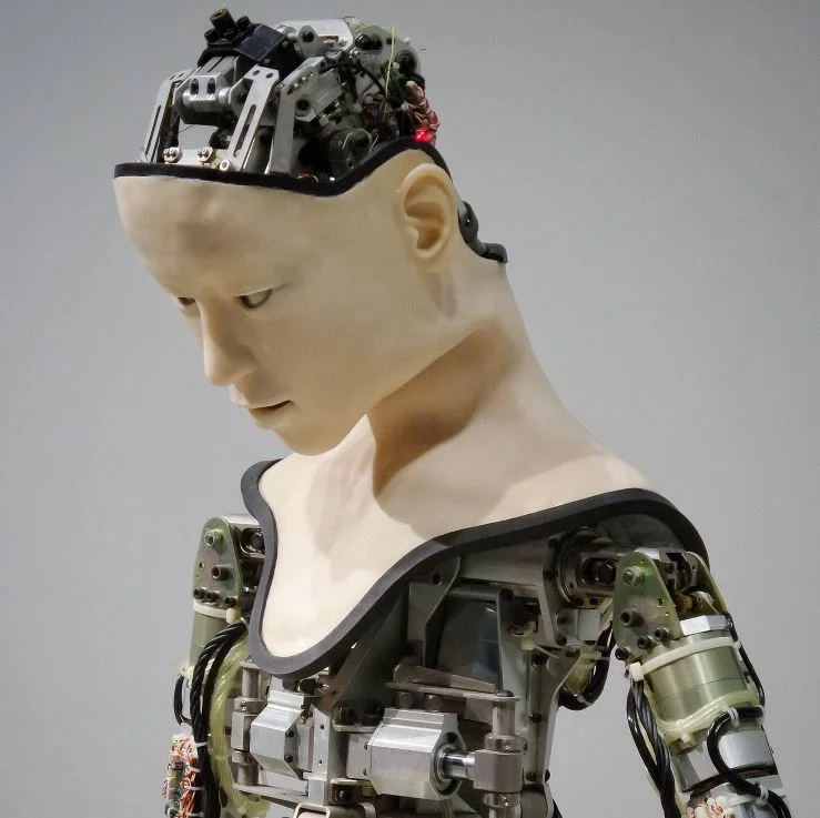 The Rise in Popularity of Feminist Science Fiction