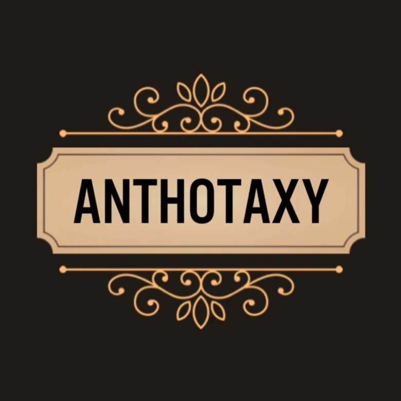 Meet Anthotaxy, the second team on our 2019 collaborative project series