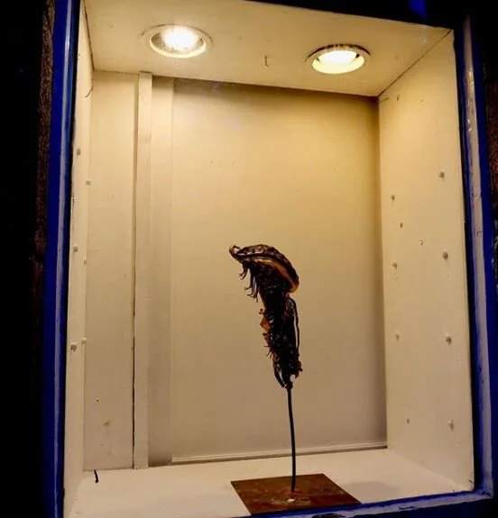 Woodlane Windows Series: Luke Hamel-Cooke and Eileen Walden