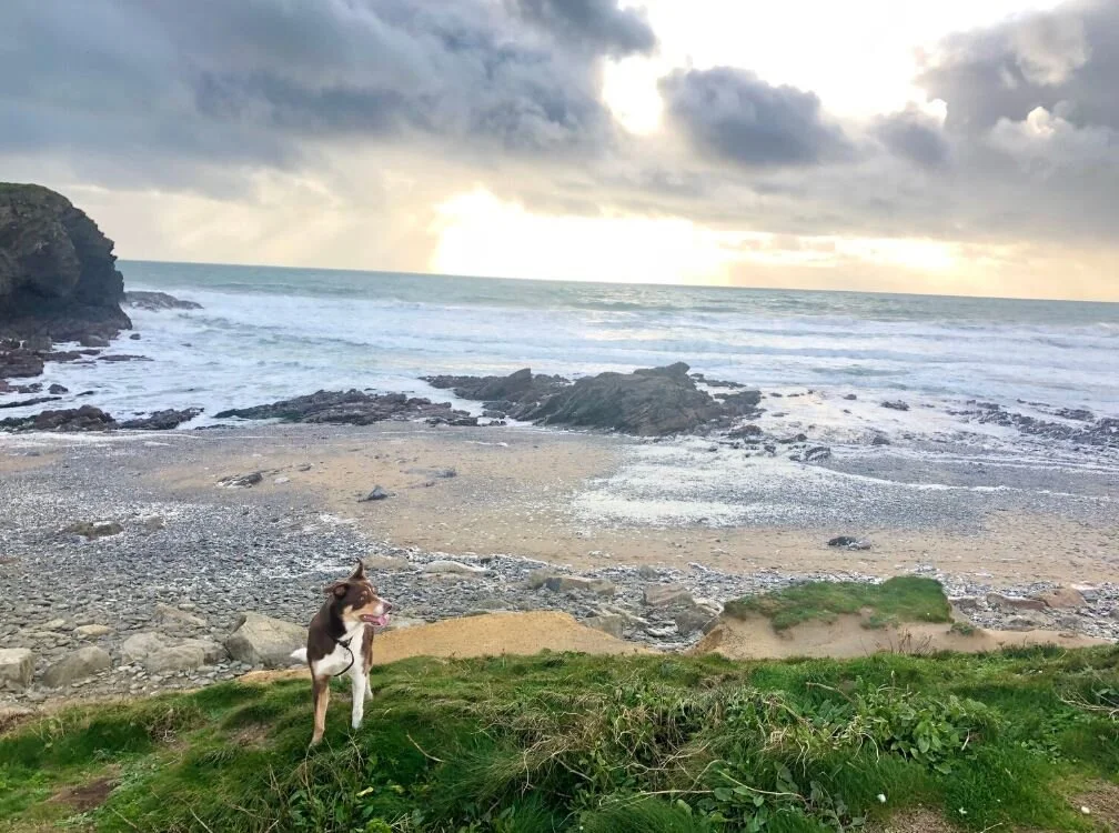 Misyow yn Kernow: mis Genver (January)