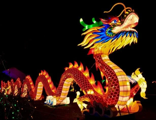 Chasing the Paper Dragon by Caitlin Stimpson