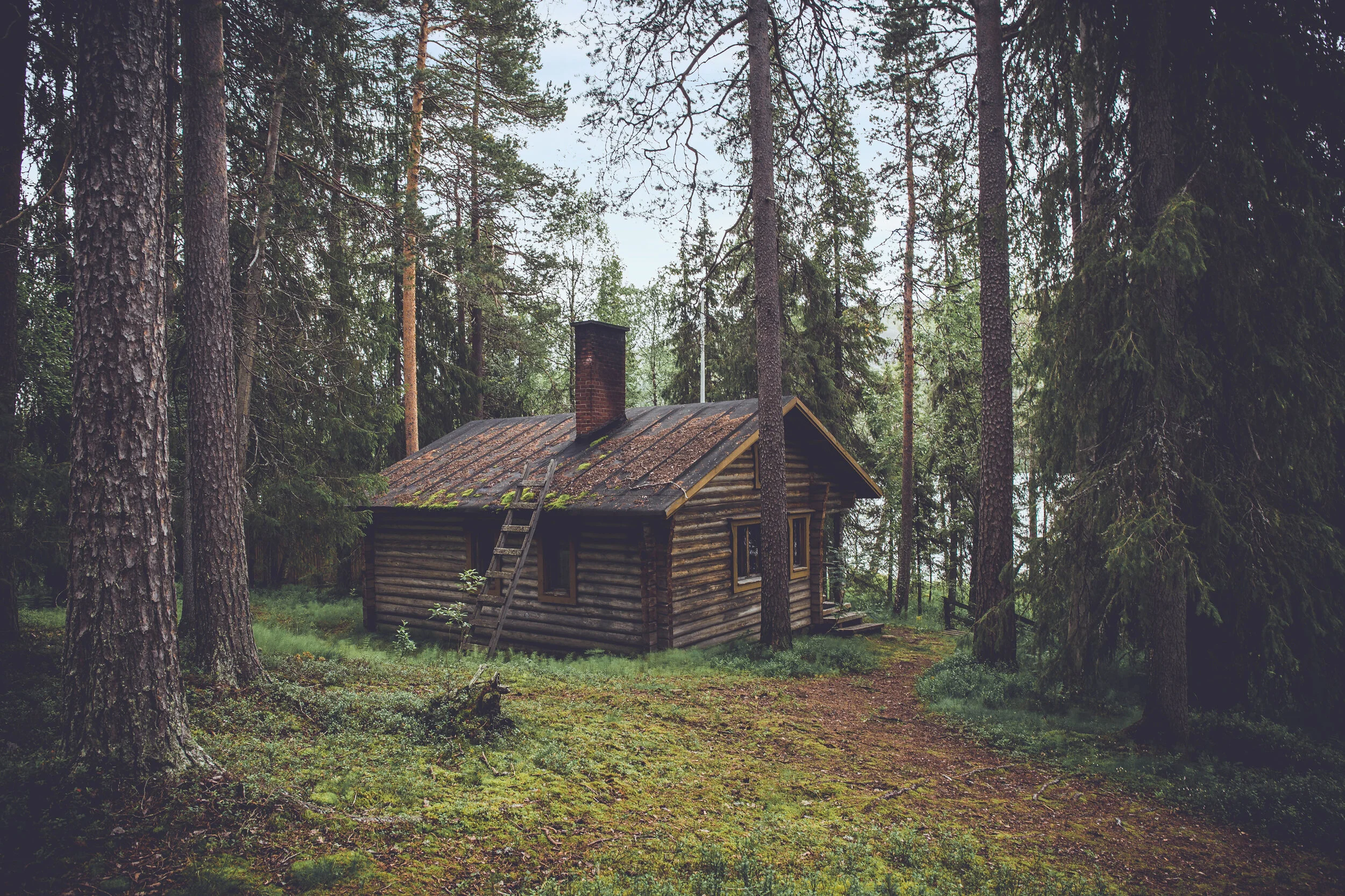Photo by Olivier Guillard on Unsplash