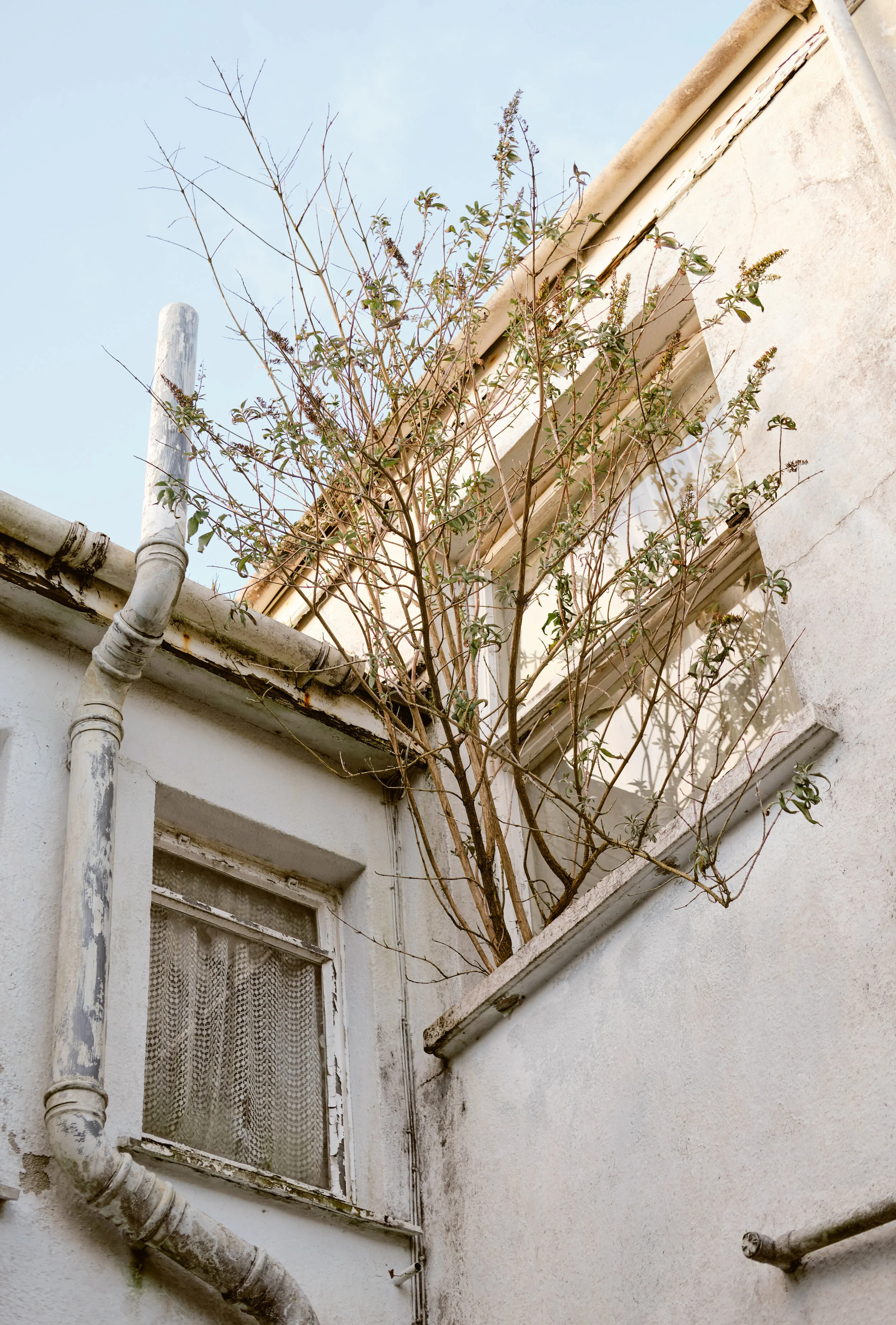 This Home by Nadia Leigh-Hewitson