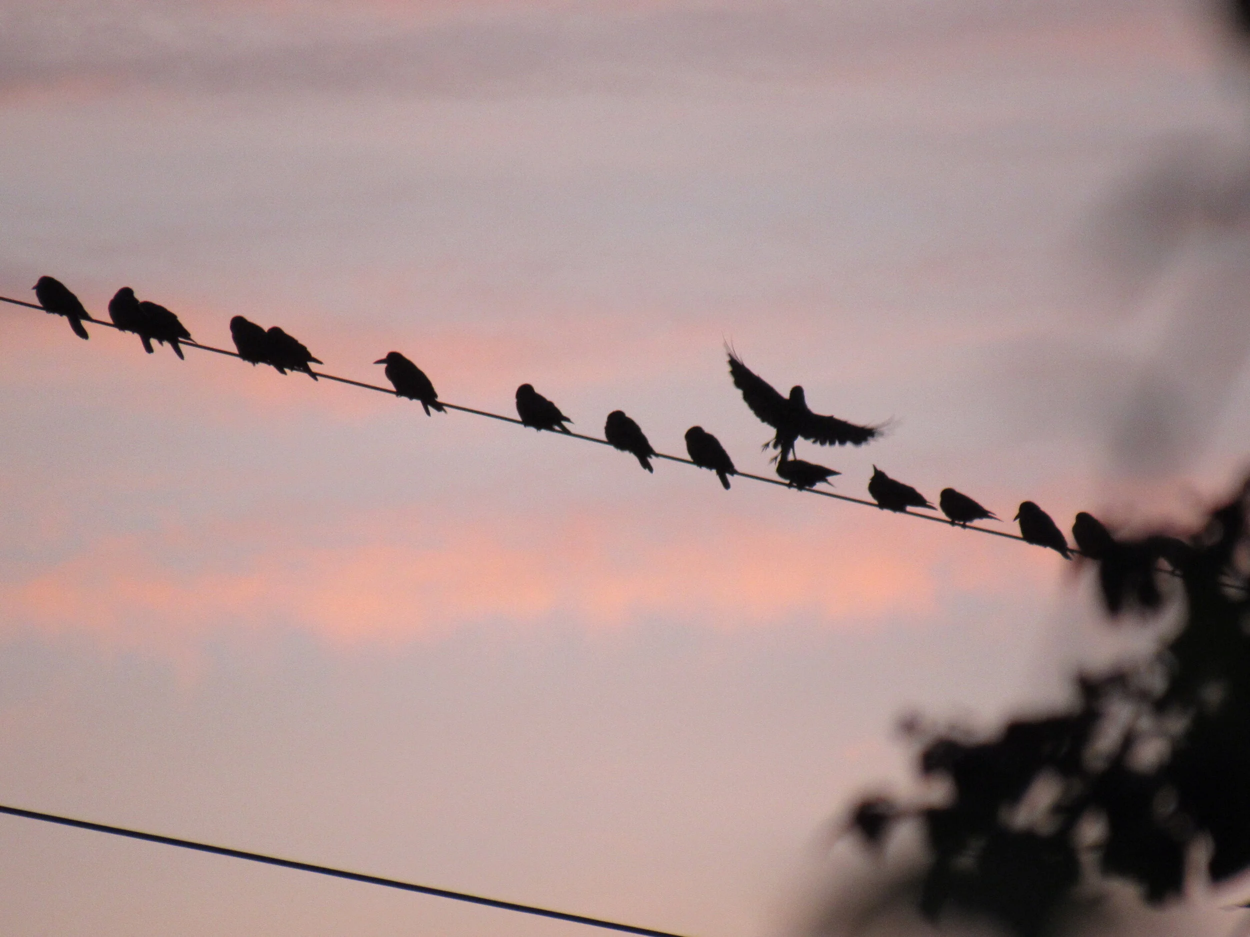 Top Spots for Walking your Pen: Why Being Outdoors Inspires Writing