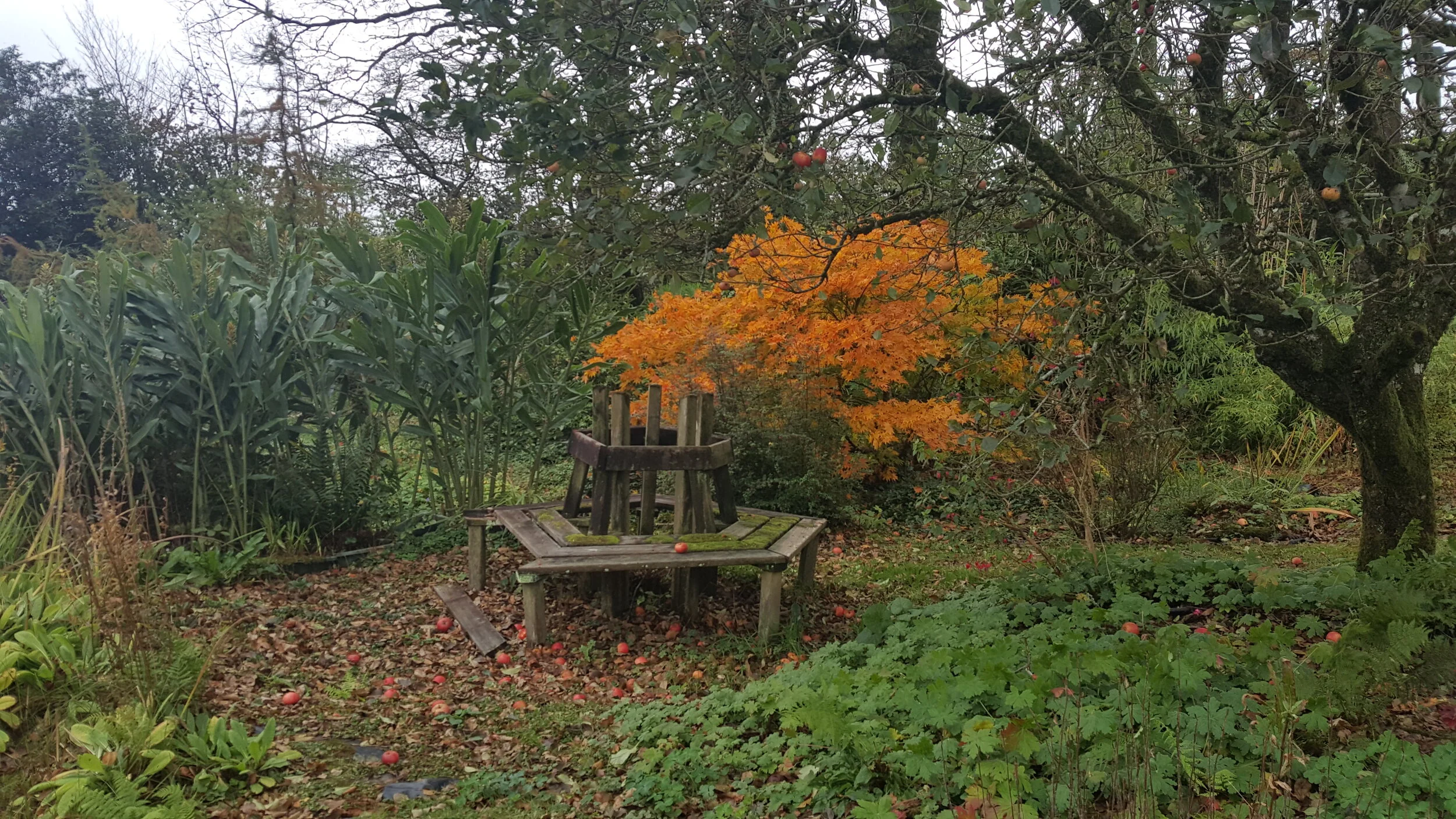 'Below Densham’s Delight: Fungus Symbiosis' and 'Other Apples in the Orchard 2' by Nicky Peters