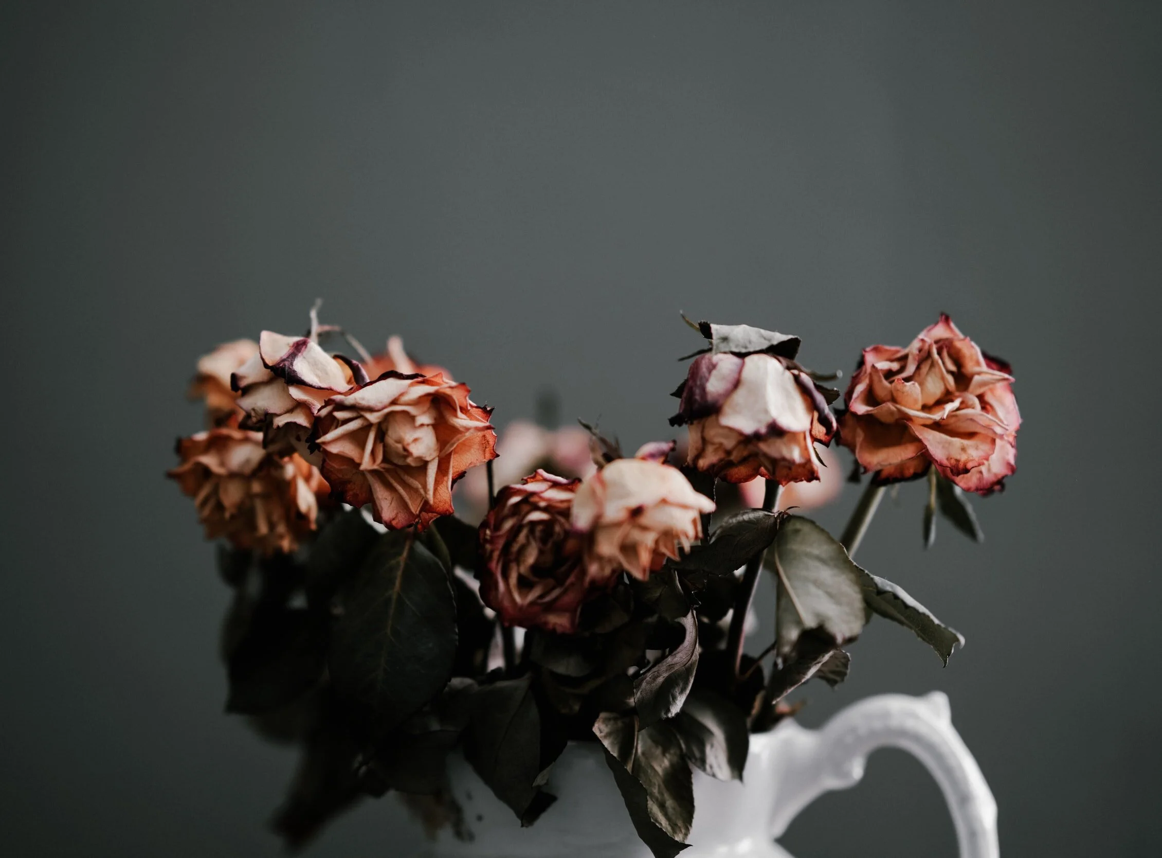 'Empty Kitchen' and 'Expiration Date' by Jess Buxton 