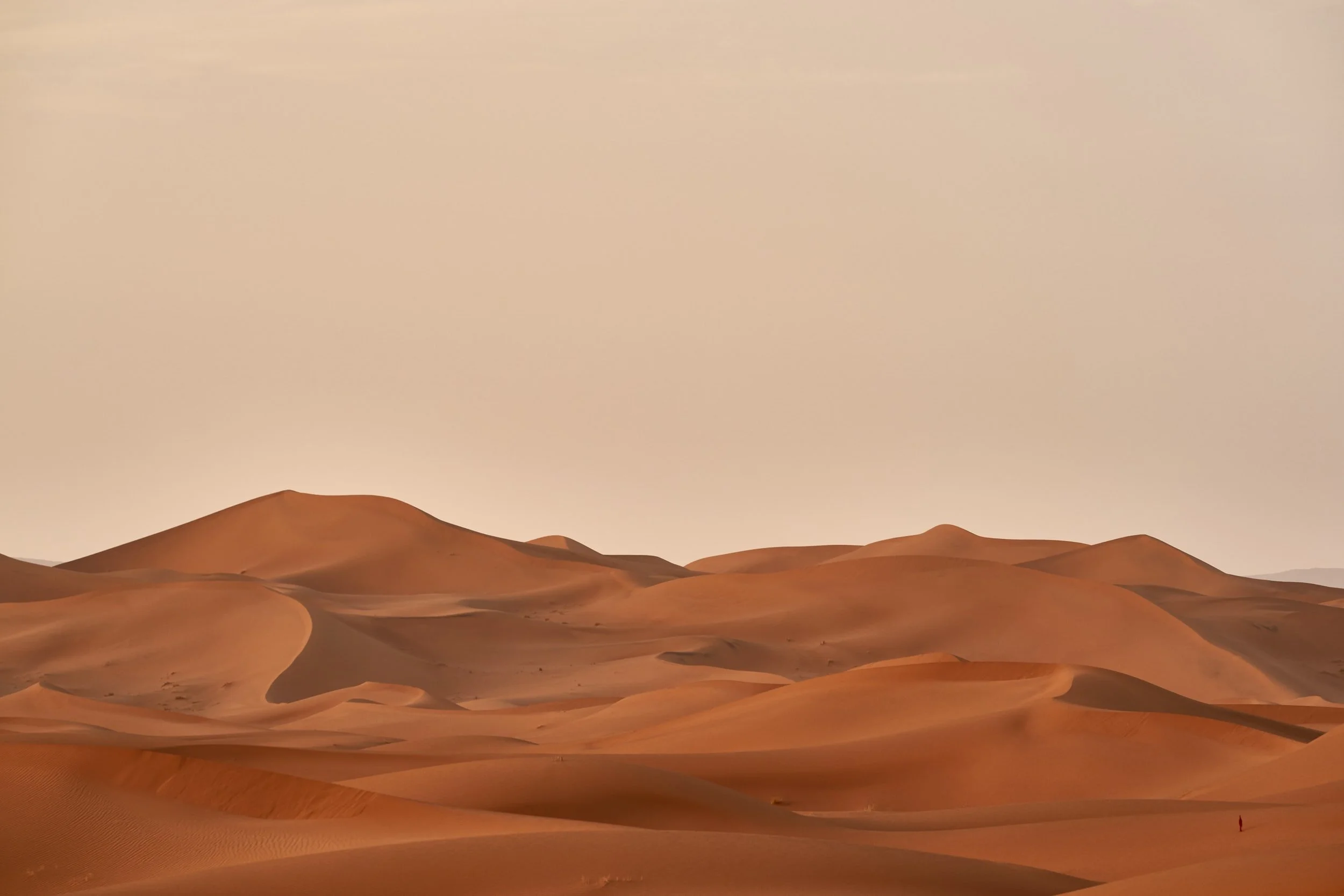 Dune - A Perfect Adaptation of (Half) a Novel by Conrad Gardner