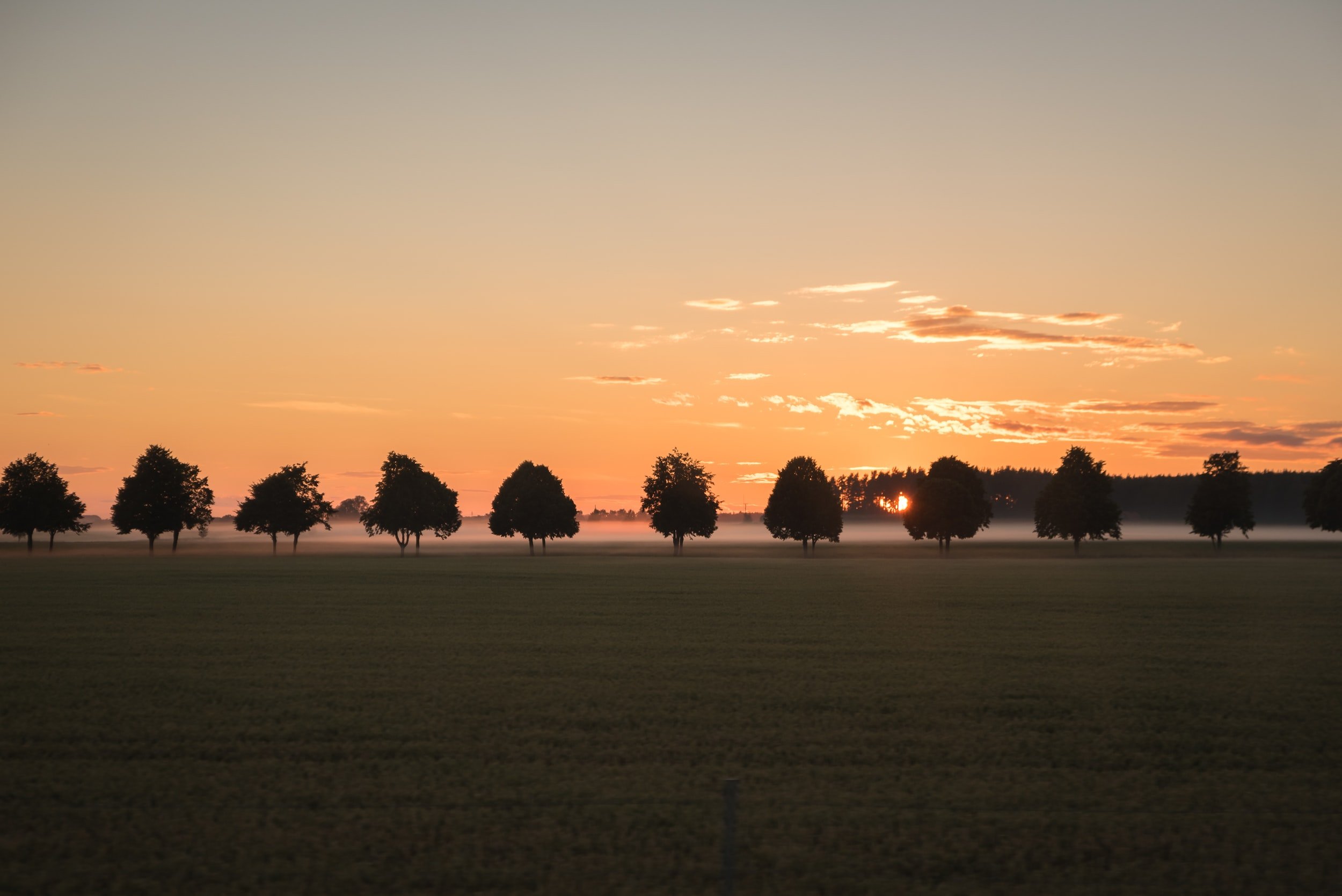 'Dawn from the 7:07' by Samuel Birnie 