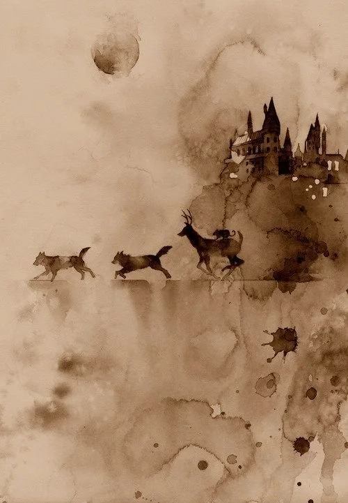 The Marauders (Trailer)