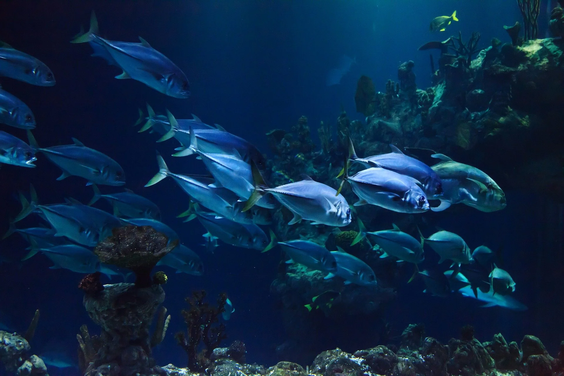 Into the Depths