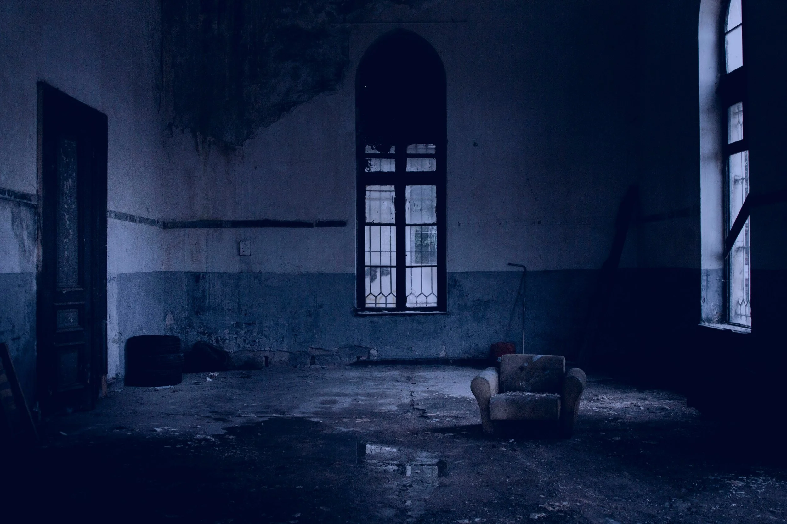 Survive the Night