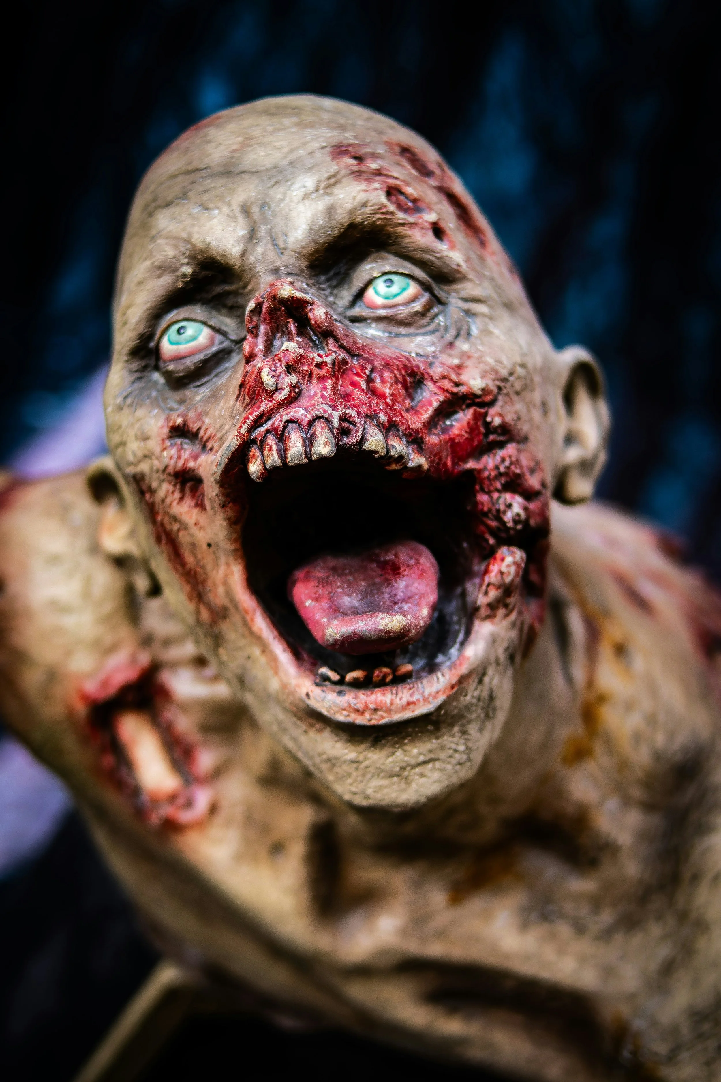 How (Not) to Fall in Love With a Zombie