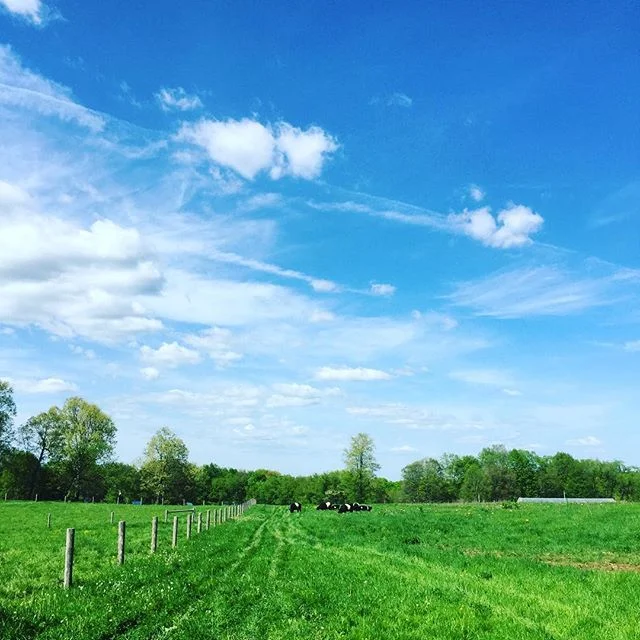 Home Fallenaspenfarm