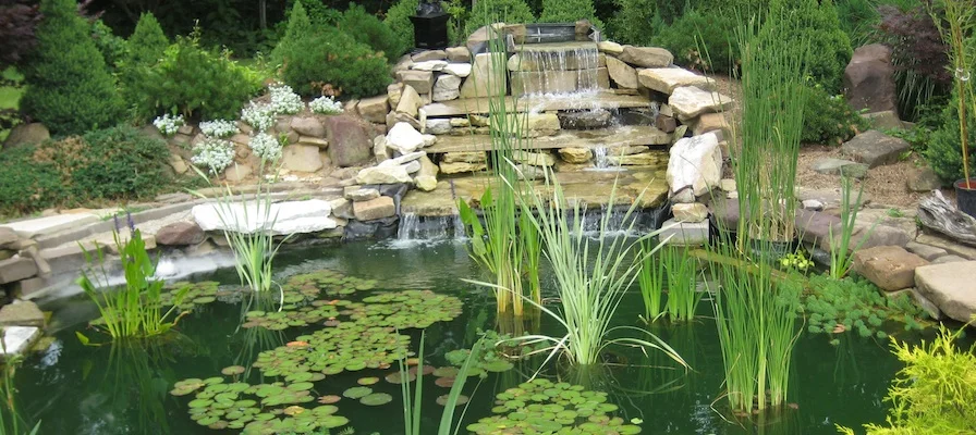 Showcasing Master Gardeners