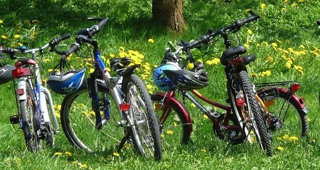 Indiana Climbing the Ranks