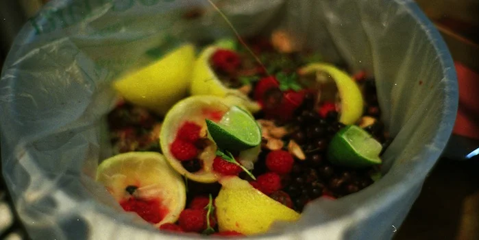 Green With Indy, Inc.