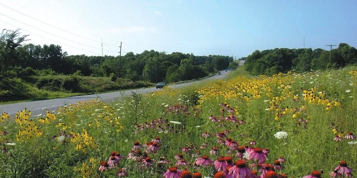 Mowing in the right direction