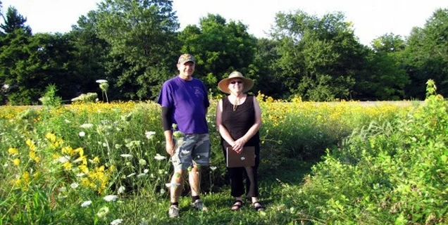 Oaklyn Library Roof is a Prairie