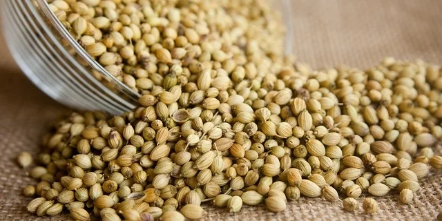 Seed-Saving in Vigo County