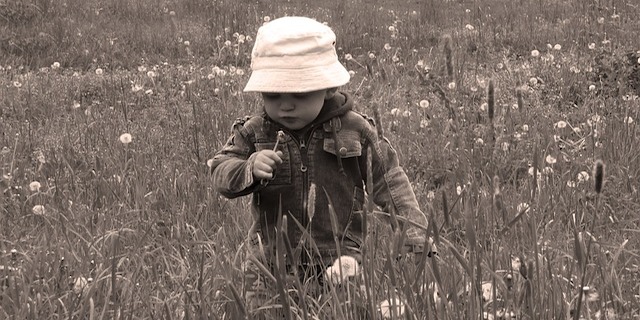 Working to protect the earth for future generations