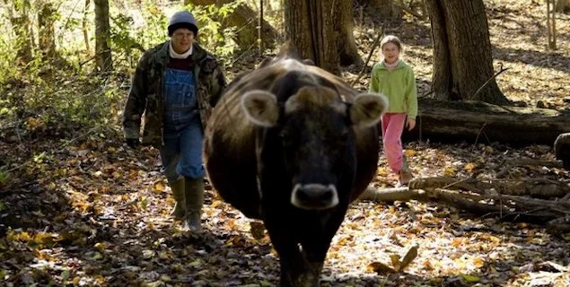Family grows into life on the farm