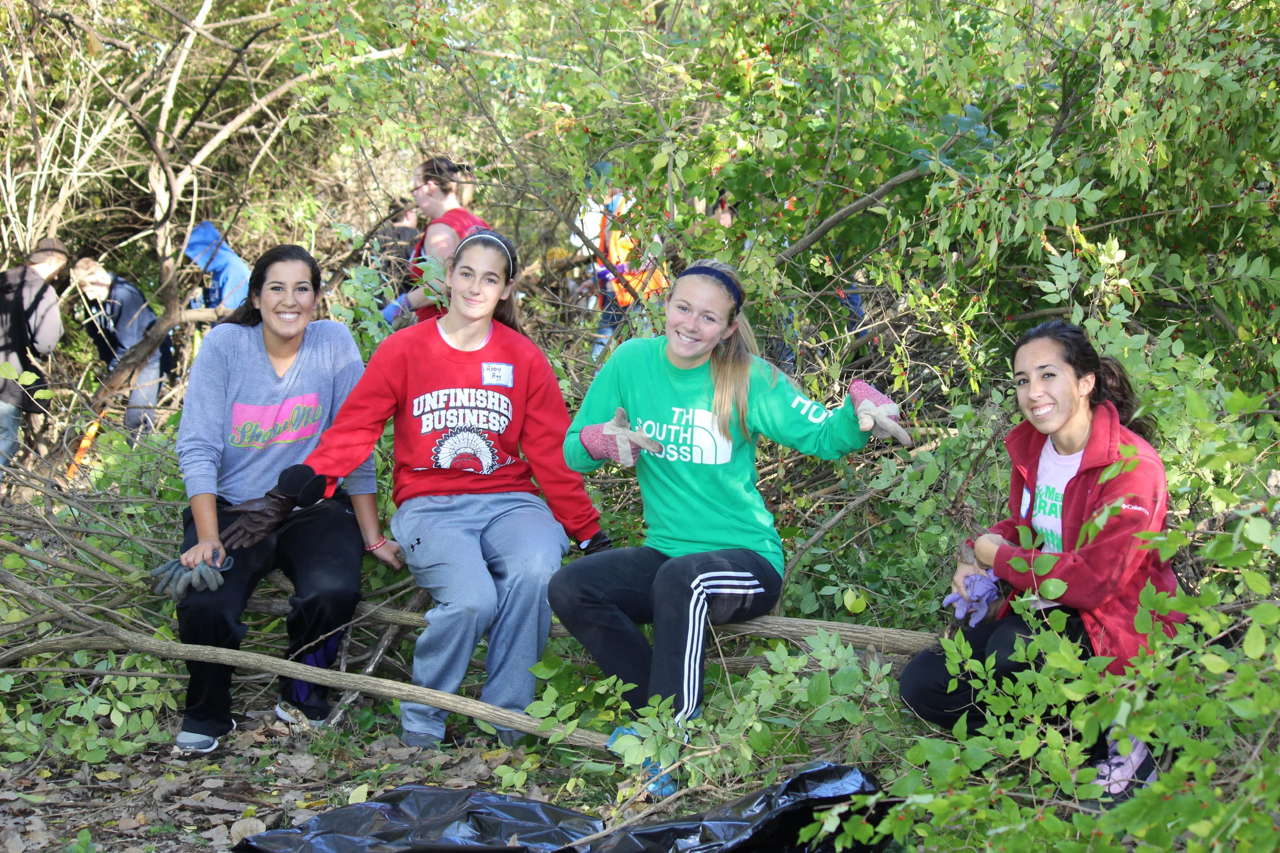 Fall Is in Full Force