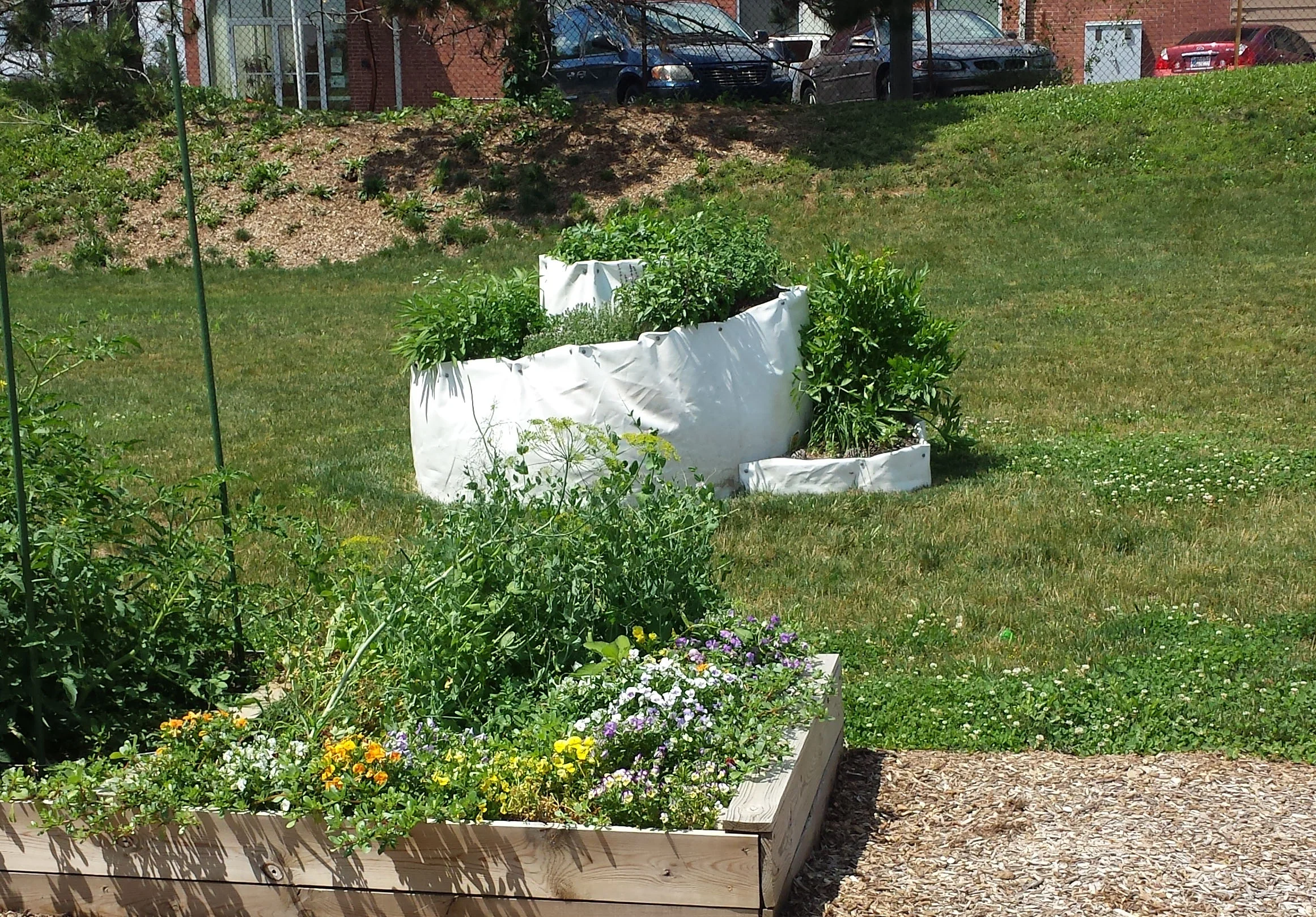 Ivy Tech Culinary Arts Program