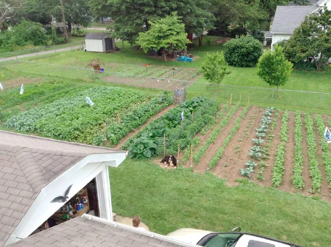 Urban Farming for Social Mission and Good Eating Too