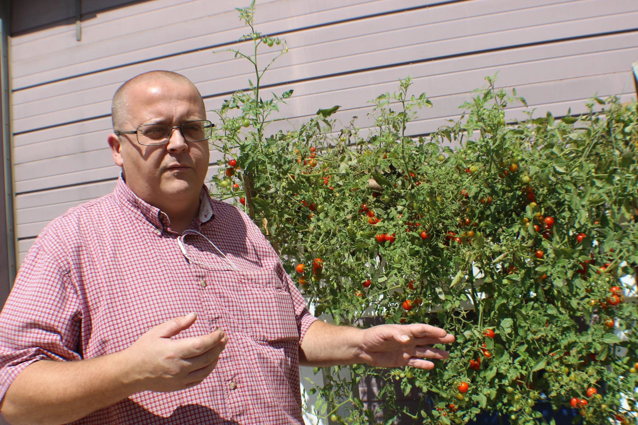 Greener Scenes Aquaponics