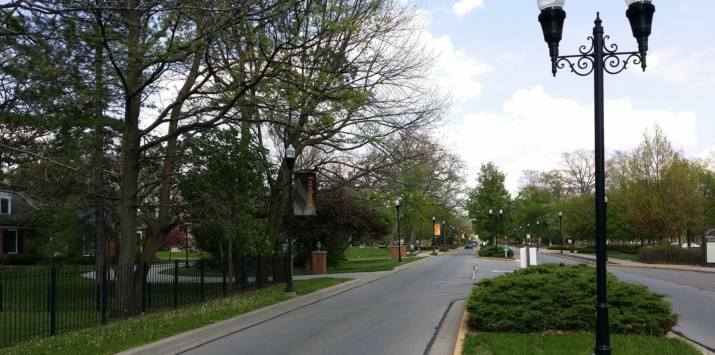 Nurturing the Urban Forest