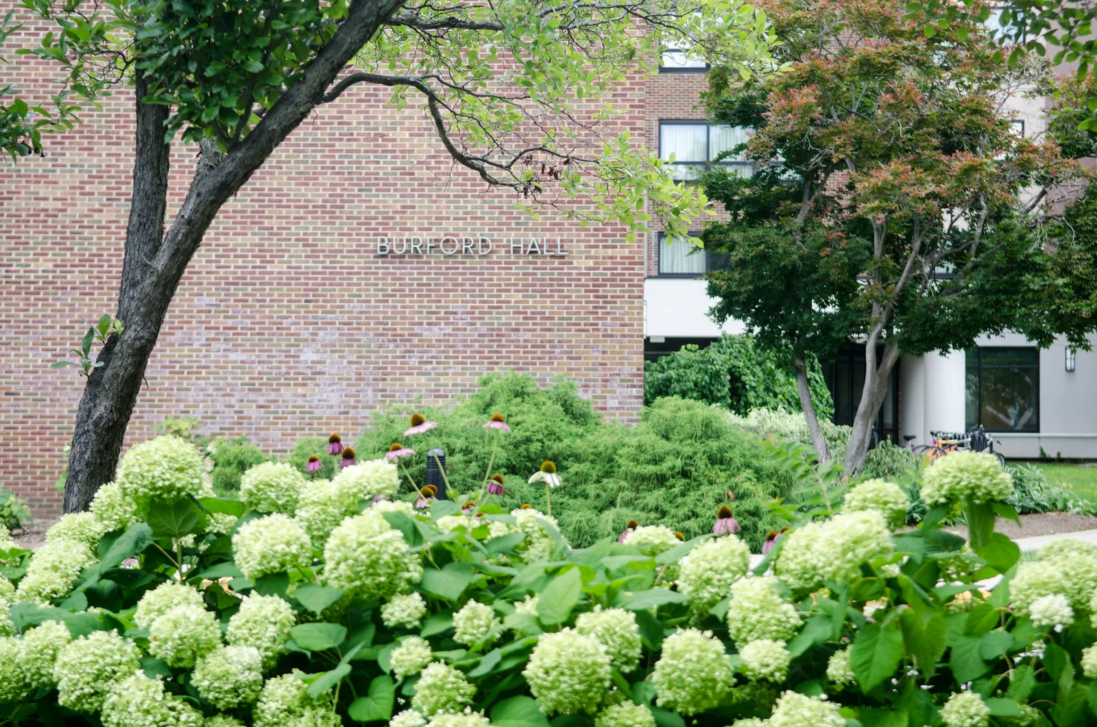 ISU: Conservation Champion