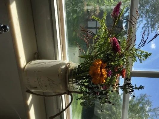 Floral Footprints: Bluebird Flower Farm