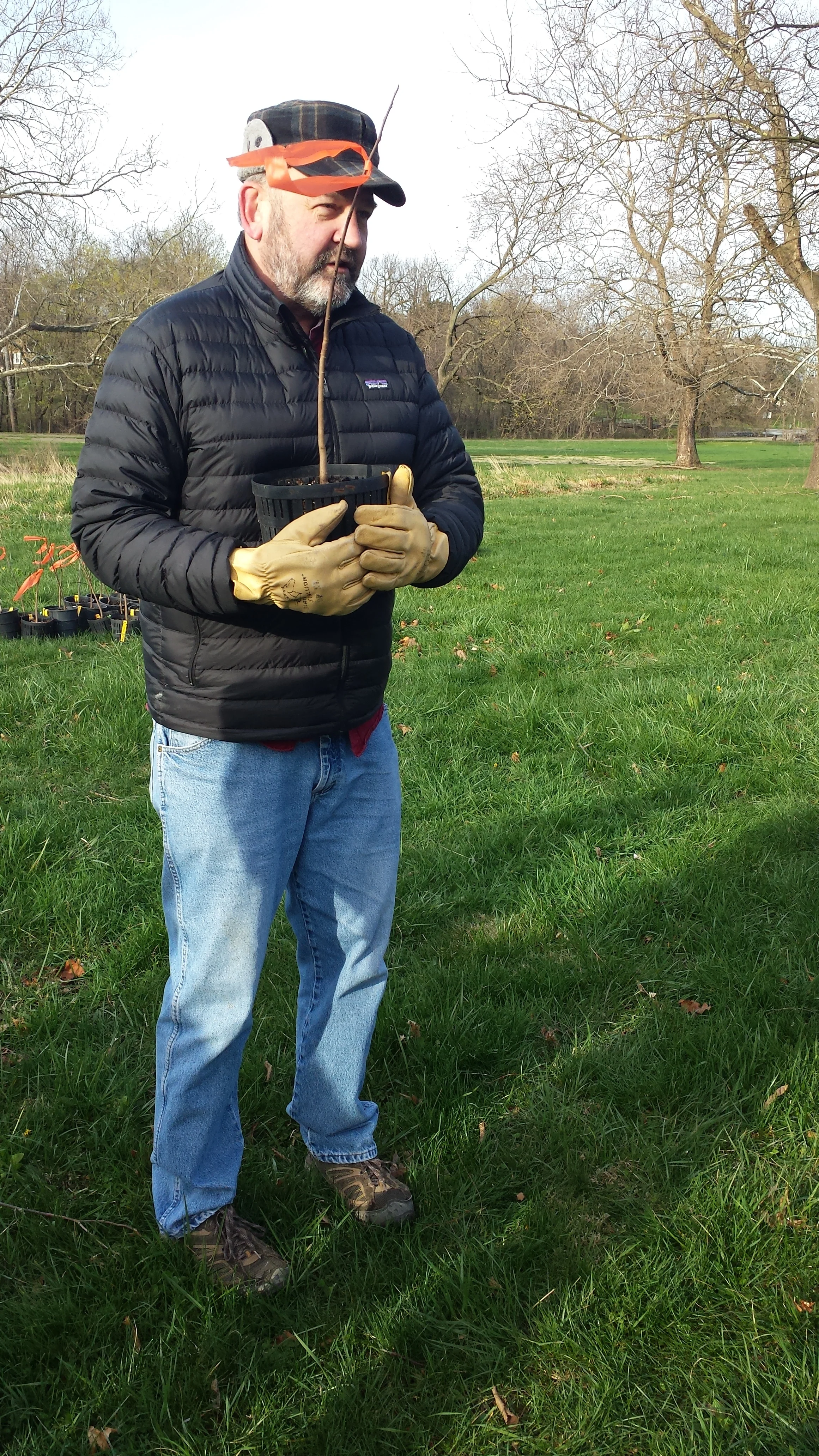 Don Miller from DPW's Land Stewardship instructs in the fine art of planting trees.