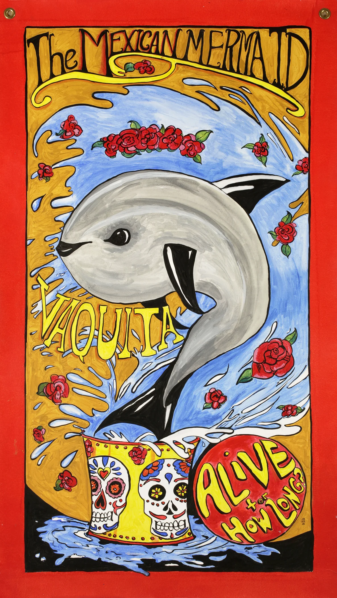 Vaquita Tiny Dolphin.jpg