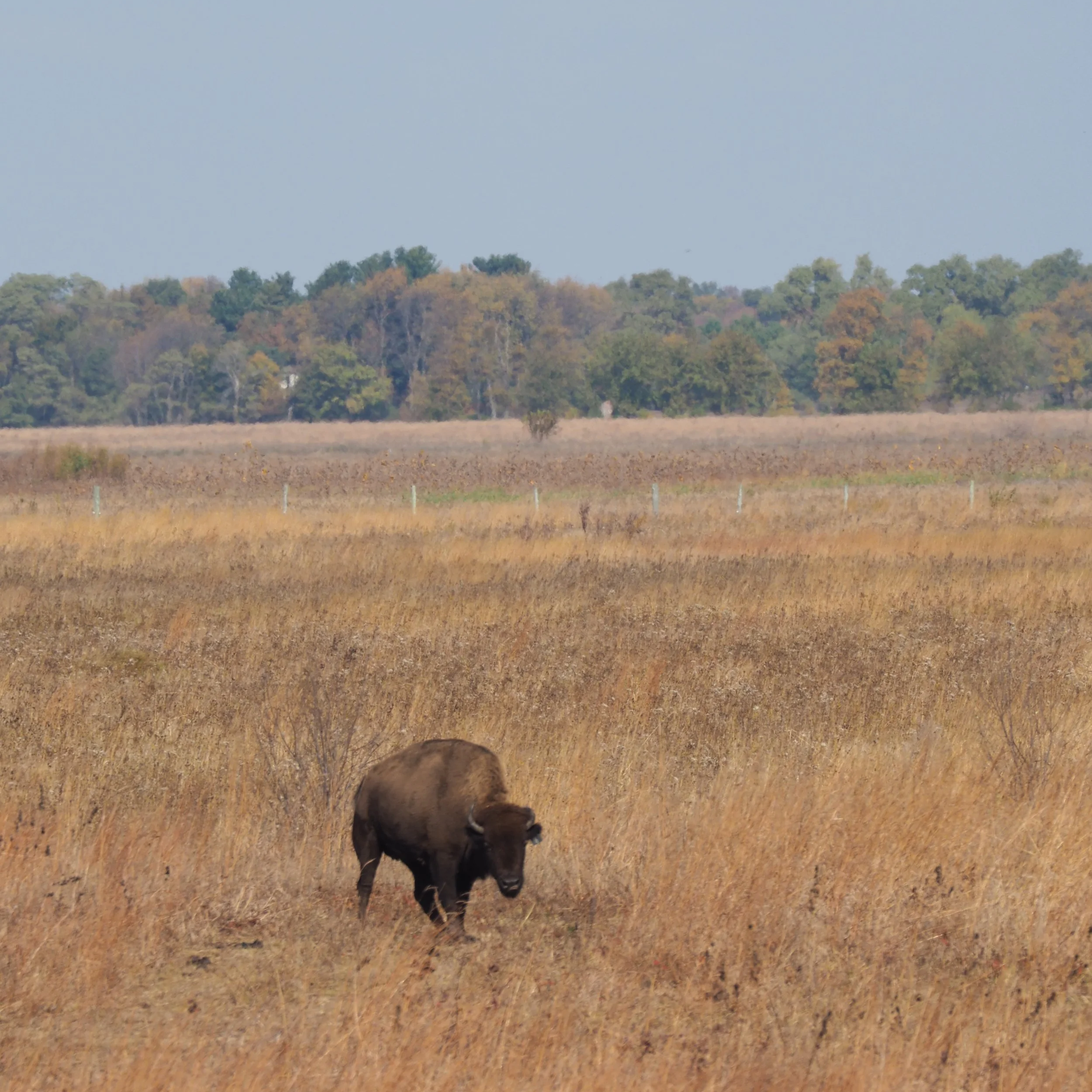 OPPOSE SB277, it’s abandoning protection for our environment and our future: 