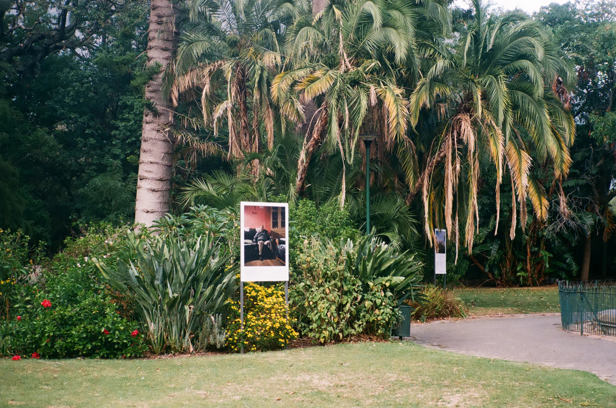 0018_15A.jpg