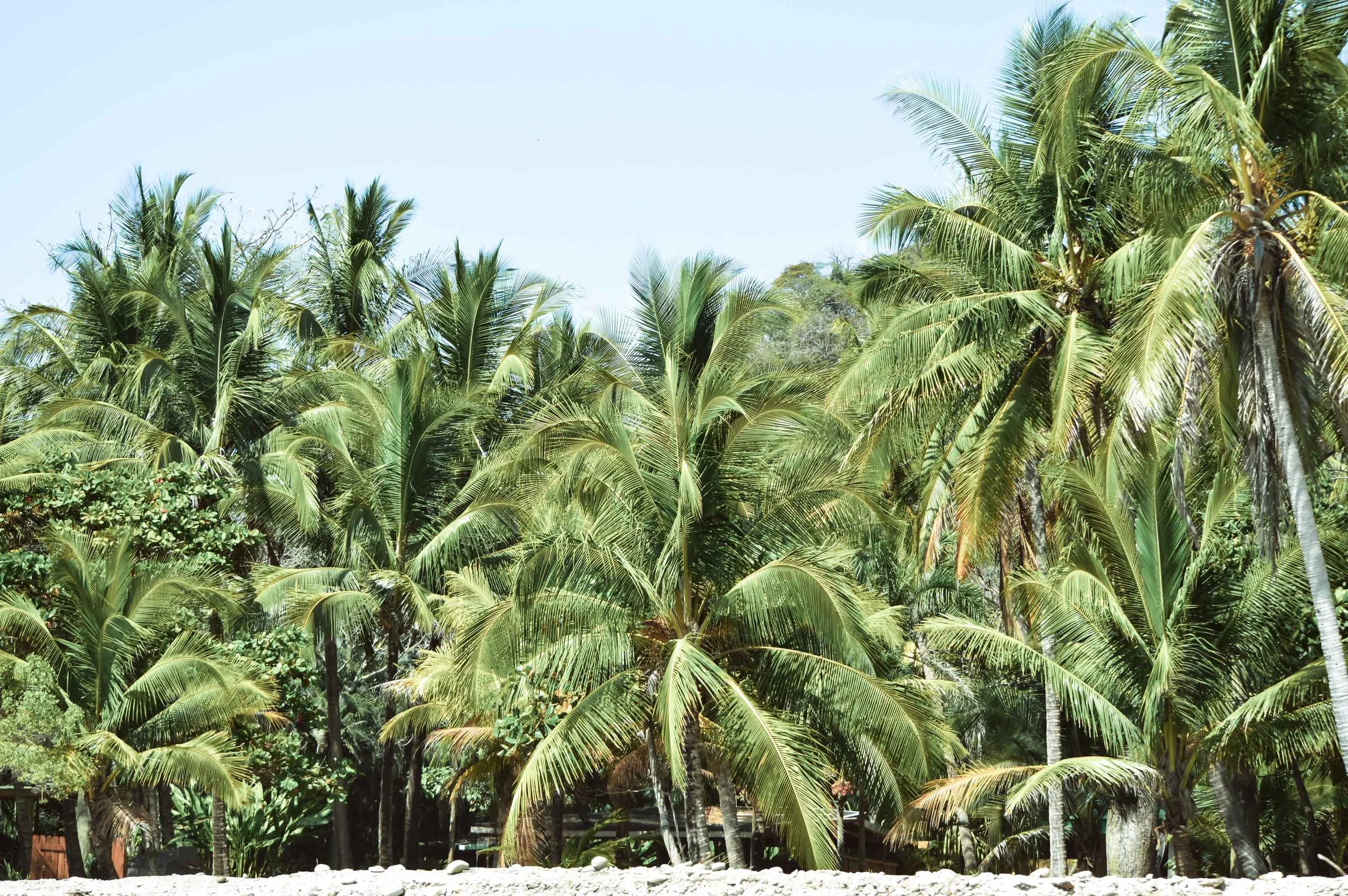 TRAVEL, foreign places, local adventuring, places to see