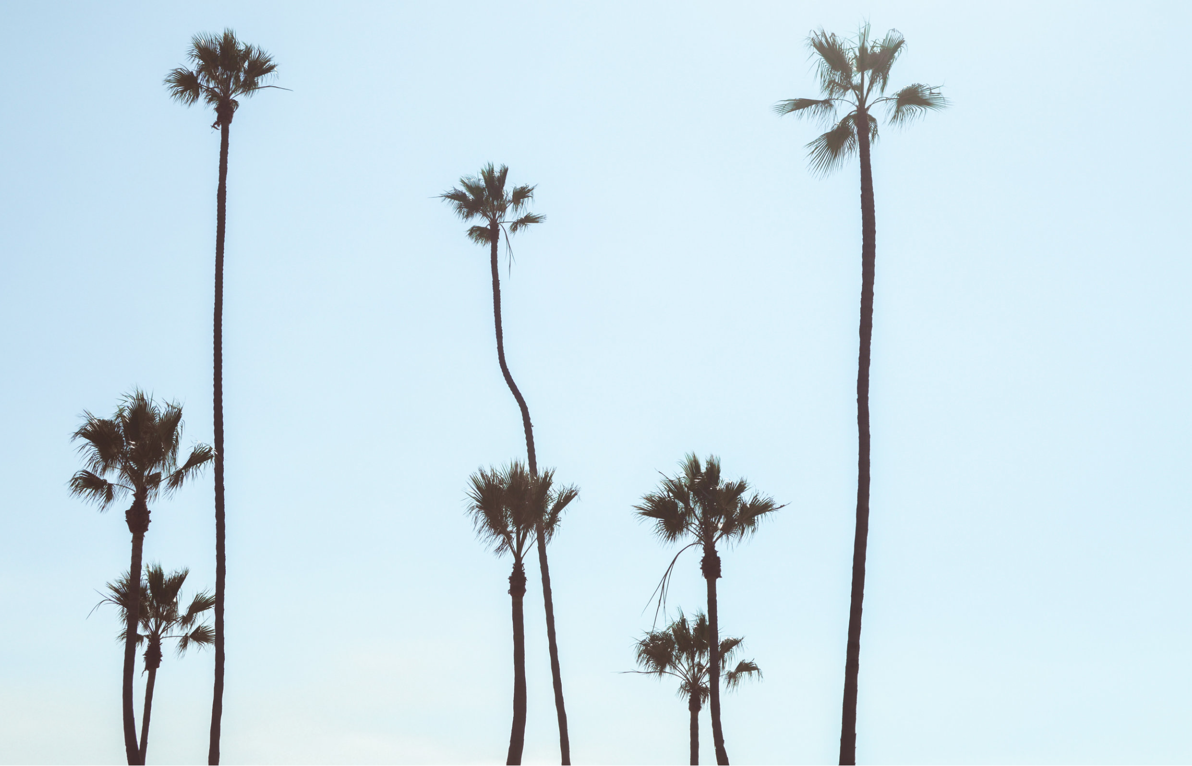 CALIFORNIA (Part 2)By: Brandon RussellAs soon as we came down the mountain, the familiarity of the whizzing traffic and fly-by-the-seat-of-your-pants lane changes brought back a feeling of 'home away from home', for me. I love driving the freeways h…