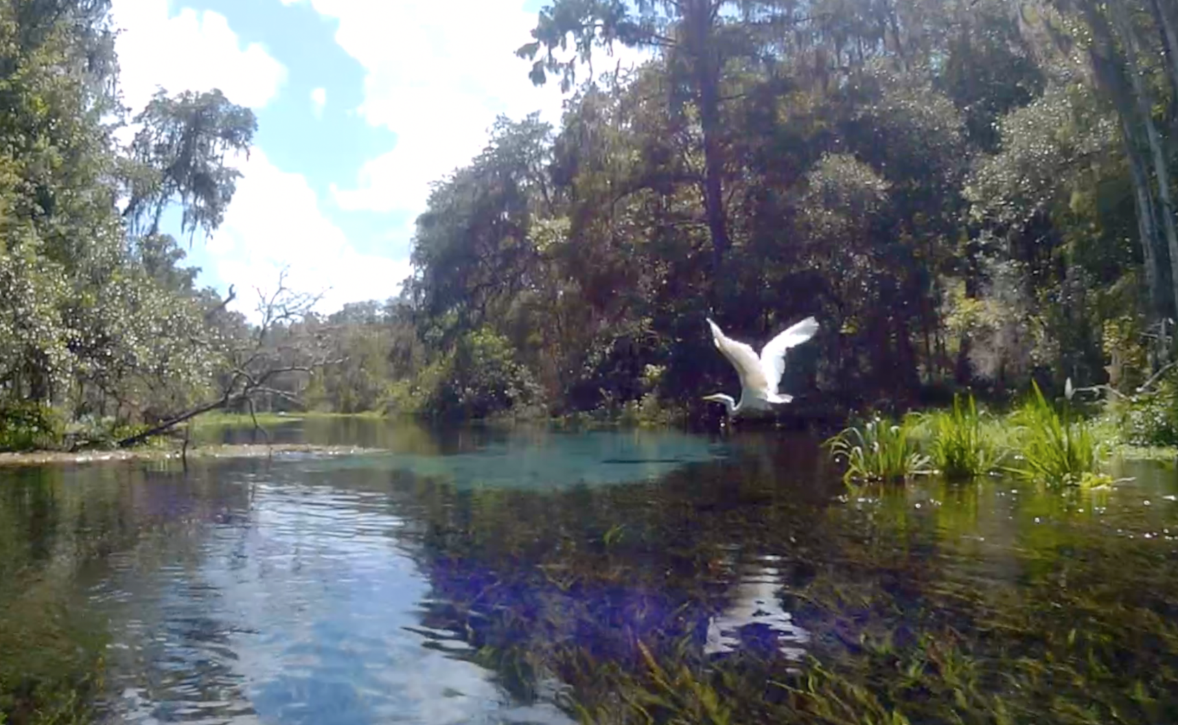ICHETUCKNEE SPRINGS, FL (video)By: Siren WilliamsPut on your bikini, grab your inner tube, and lets go floating.