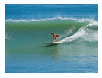 2010 Boardrider of the month SURFER REVIEW