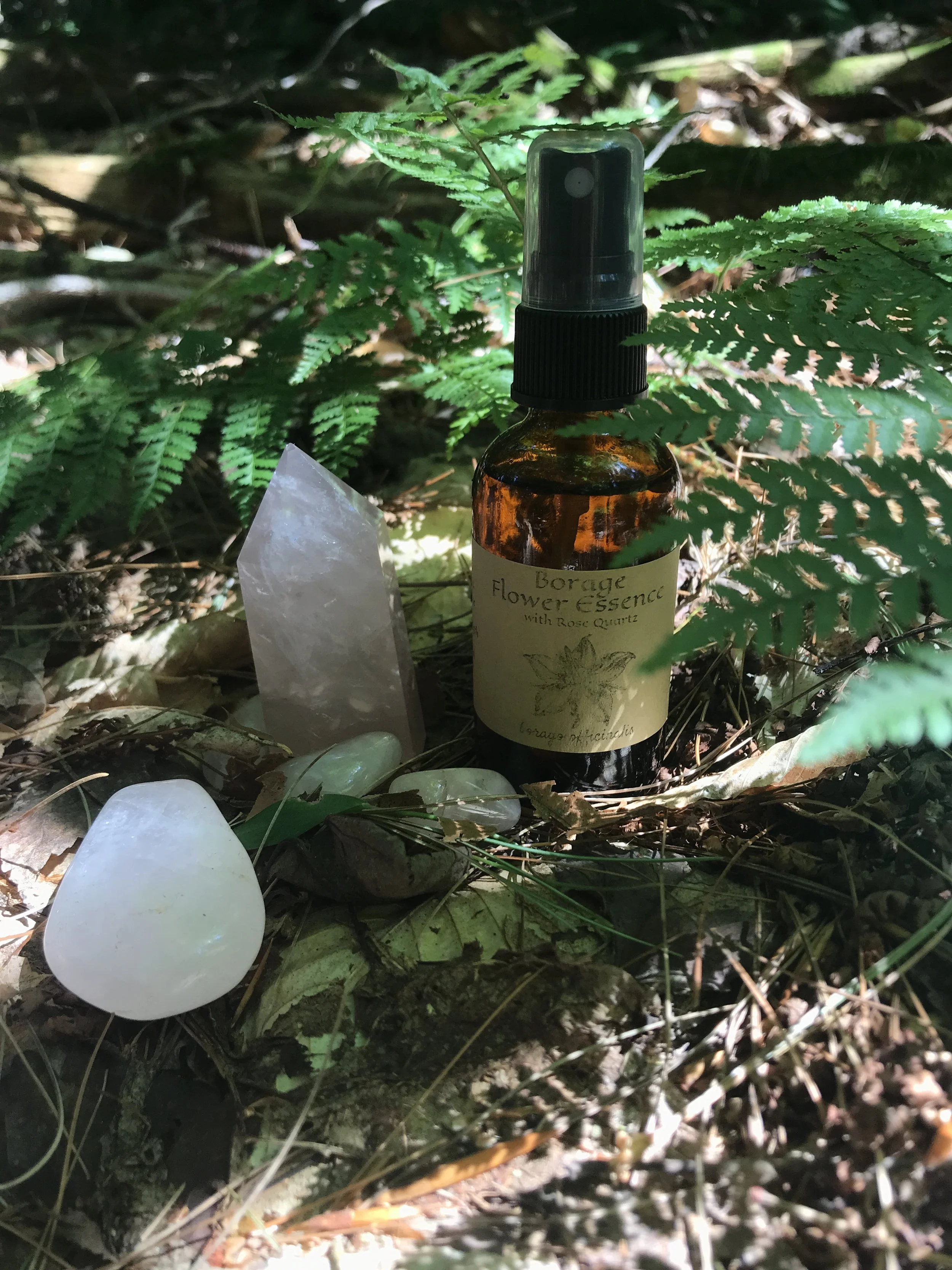 borage essence spray.JPG