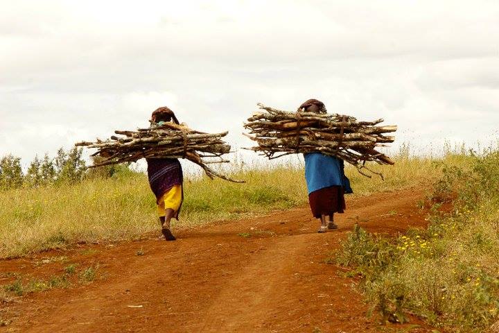 “WHEN FACED WITH THE EXTREME AND WIDESPREAD CHALLENGES OF THE DAY(DISEASE, WAR, VIOLENCE, HUNGER, POVERTY, CORRUPTION, HOPELESSNESS, HATE, GREED, APATHY) WE MUST UNITE, CROSS BOUNDARIES SEEN AND UNSEEN, CONNECT WITH “OTHERS” AND ASK OURSELVES... “WHAT WOULD LOVE DO?” AND THEN, WE MUST ACT.” ~Anne Wells, Founder & Director