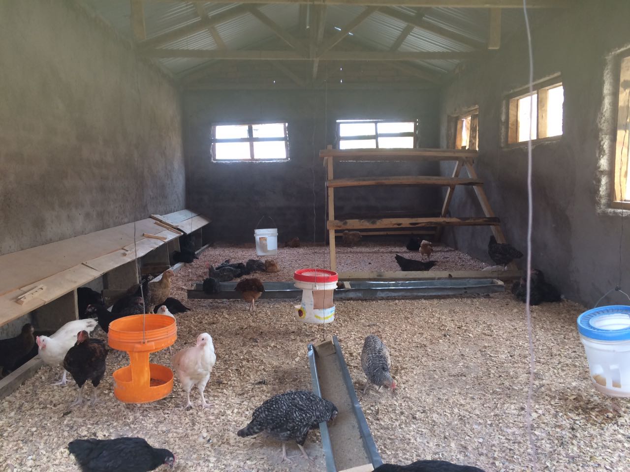 The chicken coop is complete, and we expect to start getting eggs for the children in the next few weeks. This was made possible by Elizabeth Pocsik, her son Will and their family and friends. 