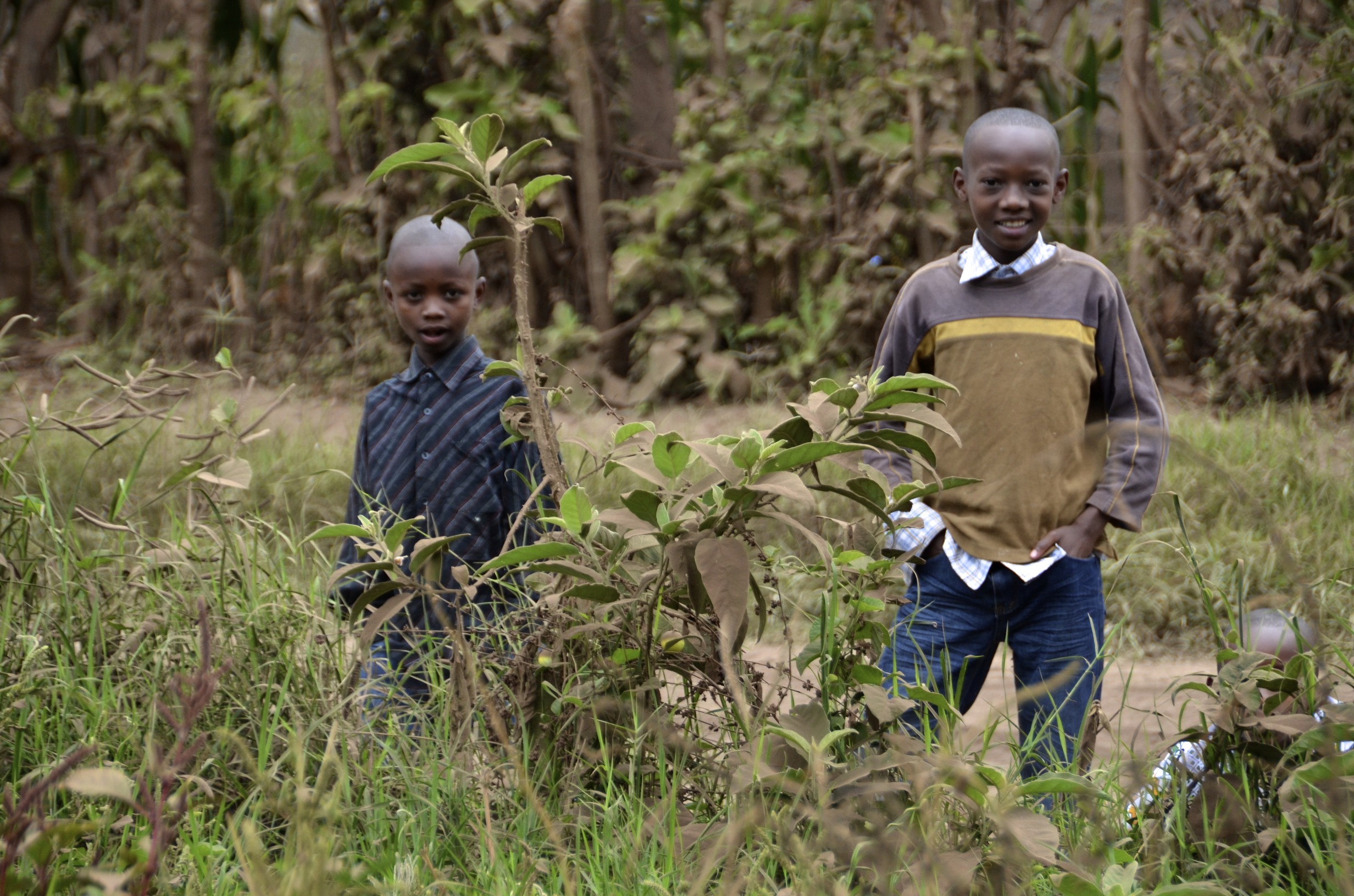 Rift Valley Children's Village